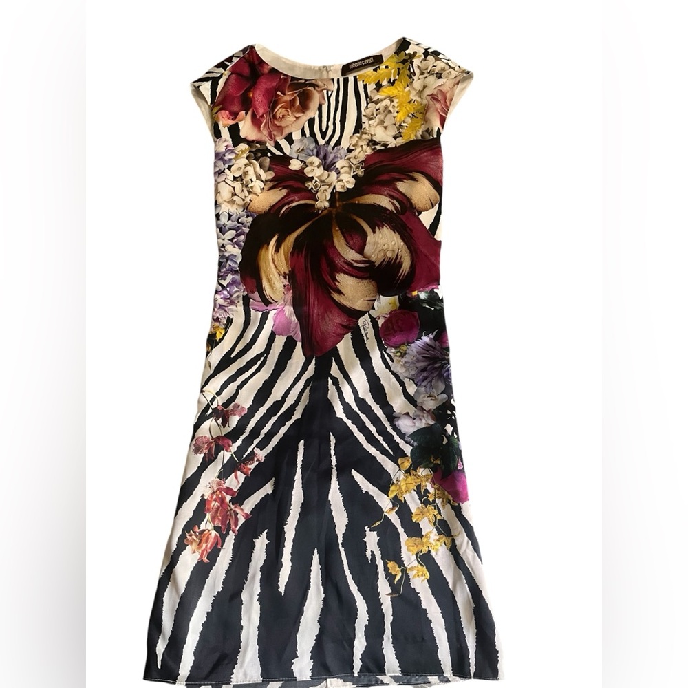 Roberto Cavalli Multicolored Pleated Bustier Midi Dress